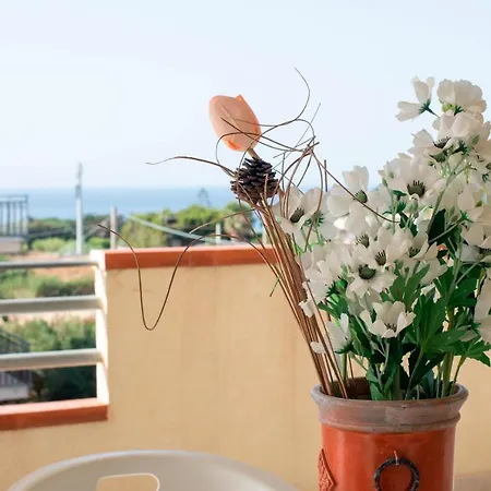 Rosa Dei Venti Alcamo Marina